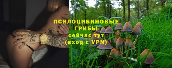 дурь Медвежьегорск