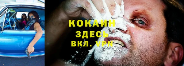 дурь Медвежьегорск
