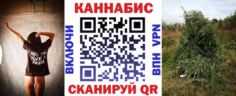 купить наркоту  Северская  Бошки Шишки индика 
